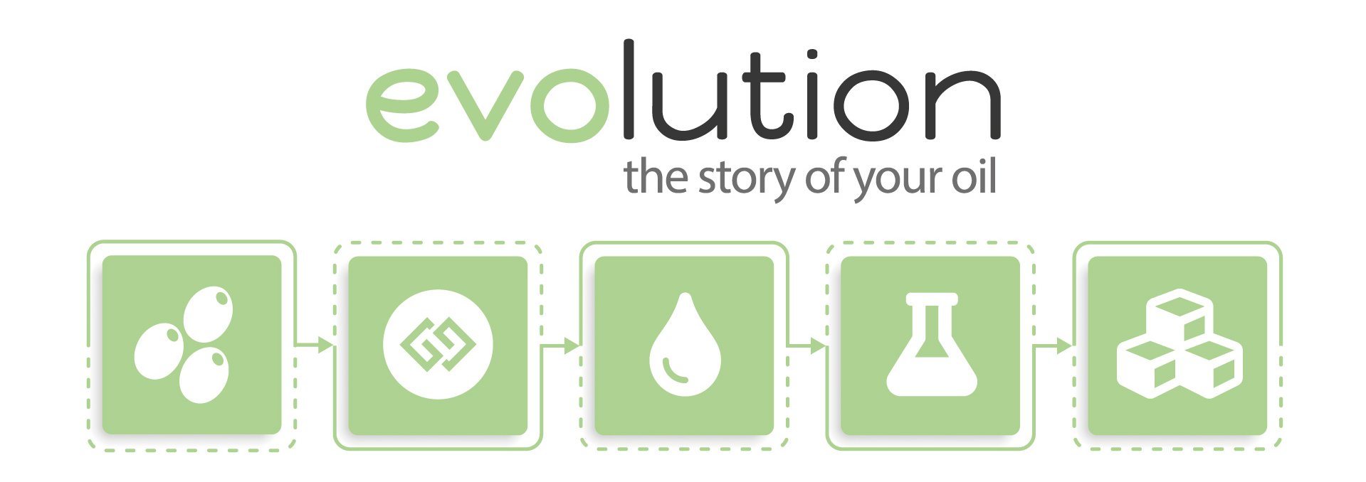 EVOlution flow - Frantoio Tini